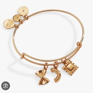 Alex & Ani Pasta Multi Charm bangle